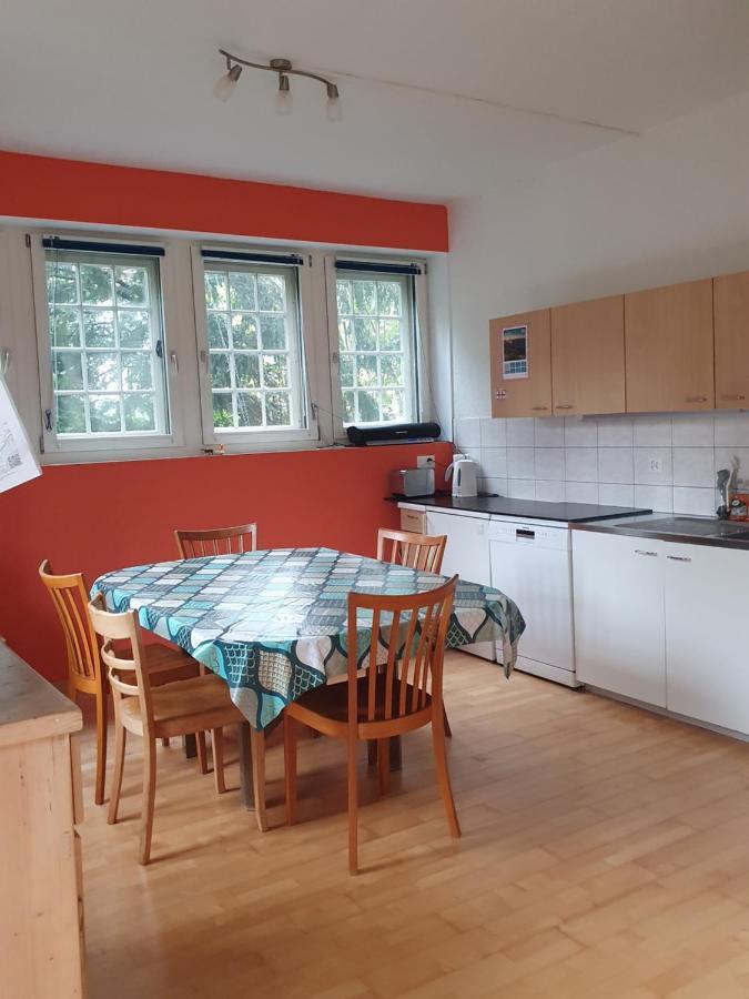 Zentral Gelegene Wohnung Mit Grossem Garten إنترلاكن المظهر الخارجي الصورة