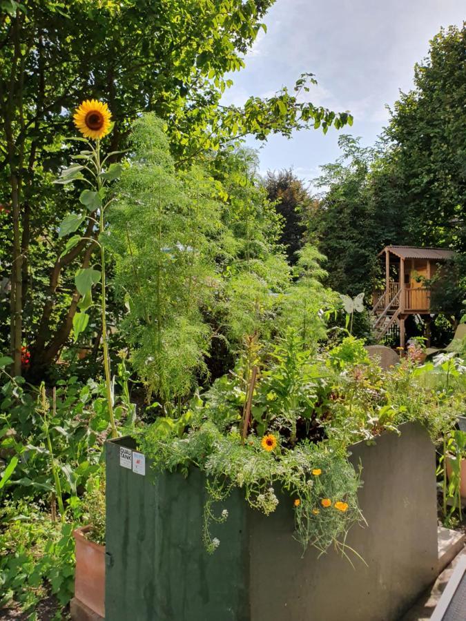 Zentral Gelegene Wohnung Mit Grossem Garten إنترلاكن المظهر الخارجي الصورة